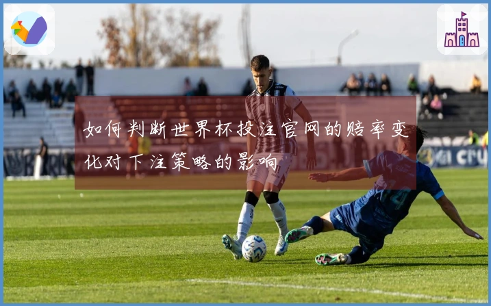 如何判断世界杯投注官网的赔率变化对下注策略的影响
